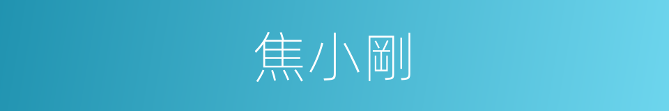 焦小剛的同義詞
