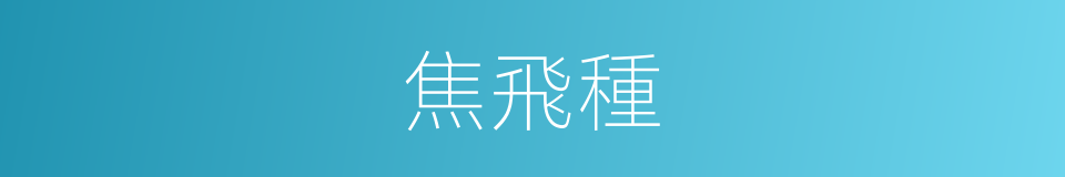 焦飛種的同義詞