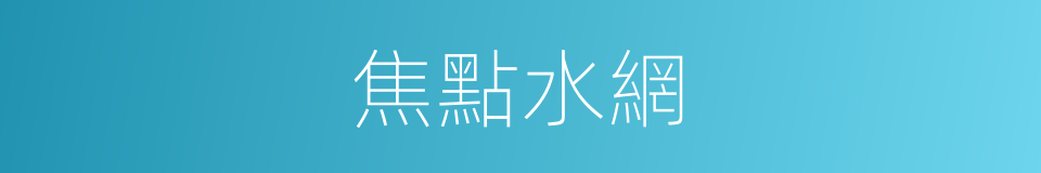 焦點水網的同義詞