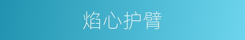 焰心护臂的同义词
