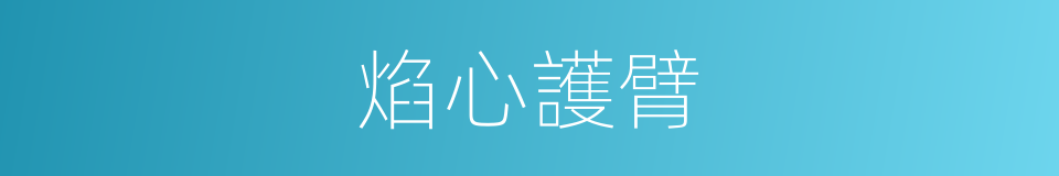 焰心護臂的同義詞