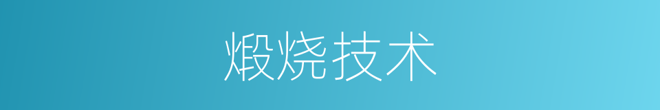 煅烧技术的同义词