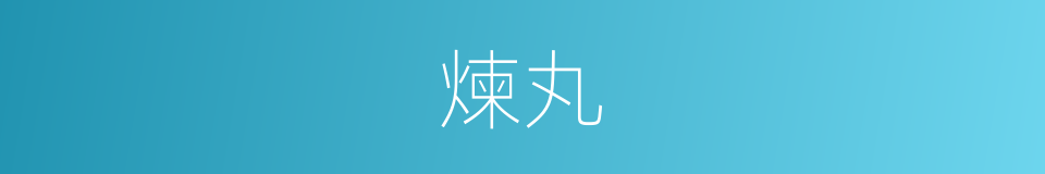 煉丸的同義詞
