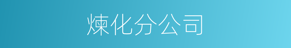 煉化分公司的同義詞