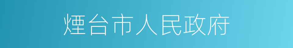 煙台市人民政府的同義詞