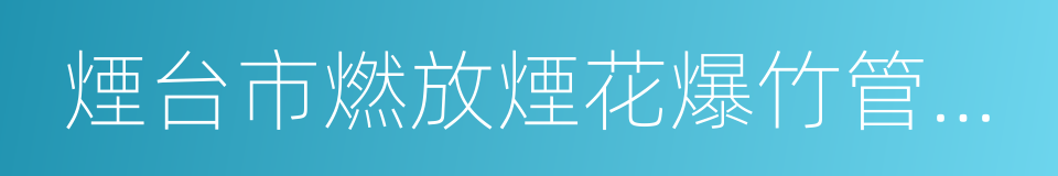 煙台市燃放煙花爆竹管理條例的同義詞