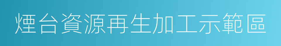 煙台資源再生加工示範區的同義詞