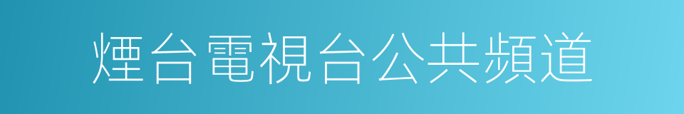 煙台電視台公共頻道的同義詞