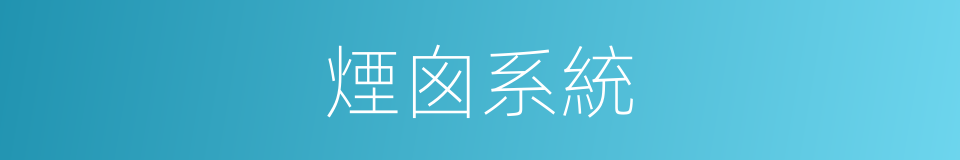 煙囪系統的同義詞