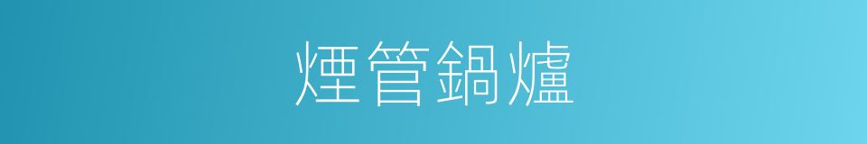 煙管鍋爐的同義詞
