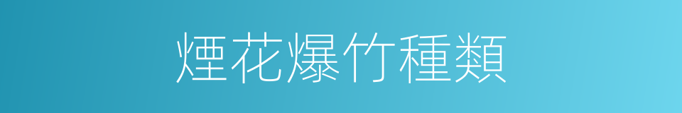 煙花爆竹種類的同義詞