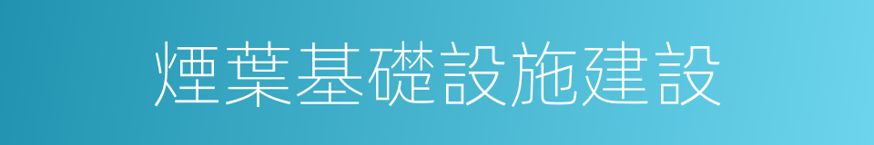 煙葉基礎設施建設的同義詞