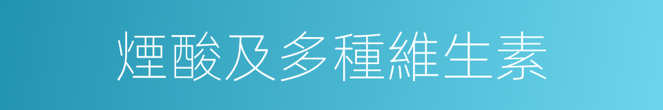 煙酸及多種維生素的同義詞