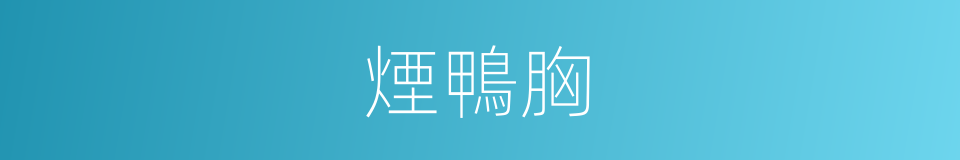 煙鴨胸的同義詞