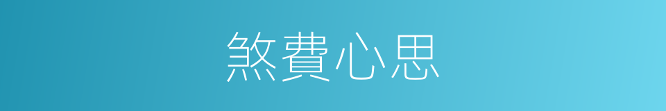 煞費心思的意思