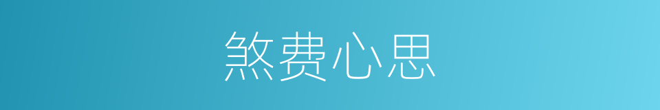 煞费心思的意思