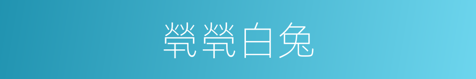 煢煢白兔的同義詞