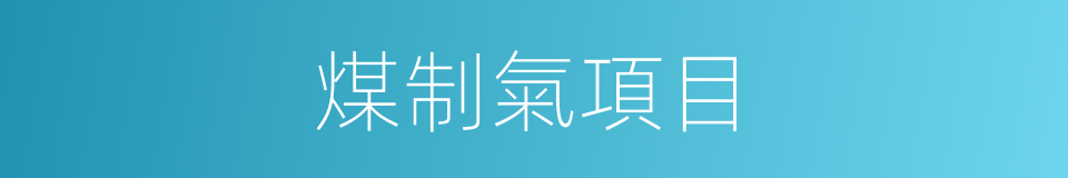 煤制氣項目的同義詞