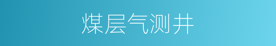 煤层气测井的同义词