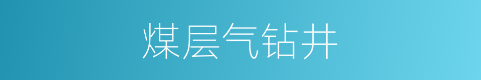 煤层气钻井的同义词