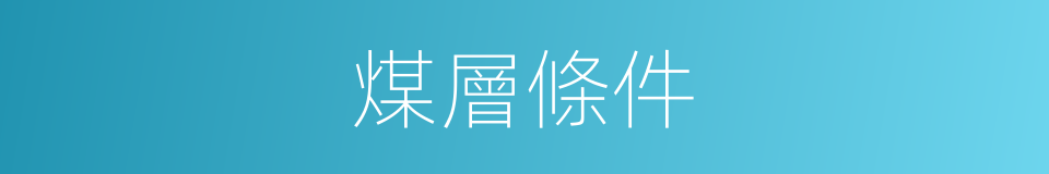 煤層條件的同義詞