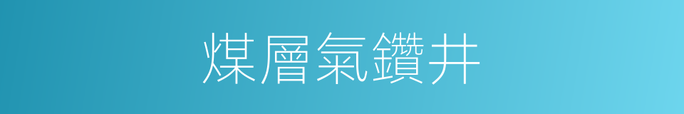 煤層氣鑽井的同義詞