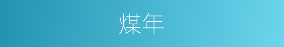 煤年的同义词