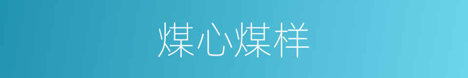 煤心煤样的意思