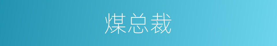 煤总裁的同义词