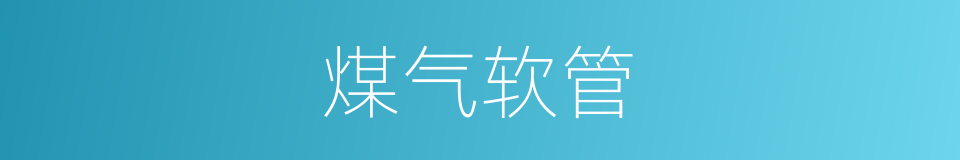 煤气软管的同义词