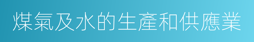 煤氣及水的生產和供應業的同義詞