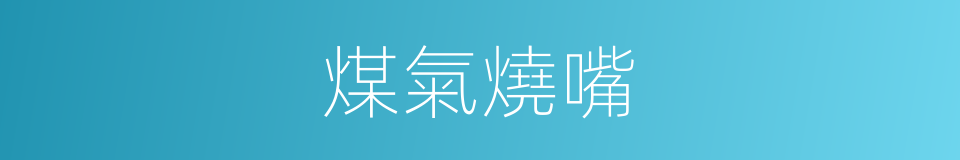 煤氣燒嘴的同義詞