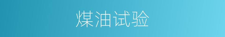 煤油试验的同义词