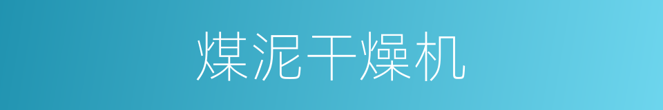 煤泥干燥机的同义词
