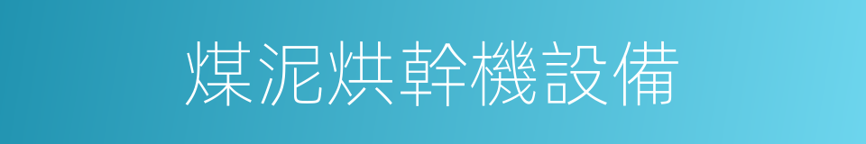 煤泥烘幹機設備的同義詞