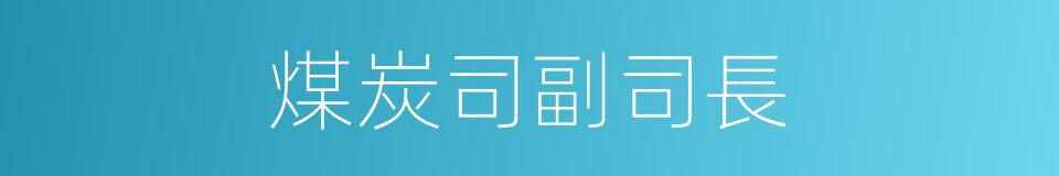 煤炭司副司長的同義詞