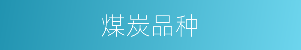 煤炭品种的同义词