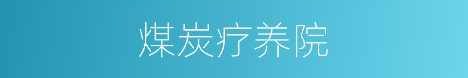 煤炭疗养院的同义词