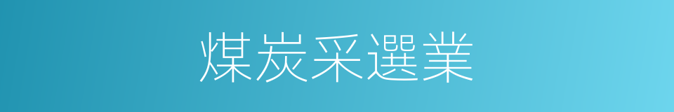 煤炭采選業的同義詞