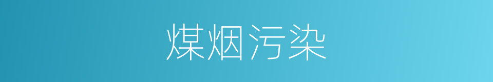 煤烟污染的同义词