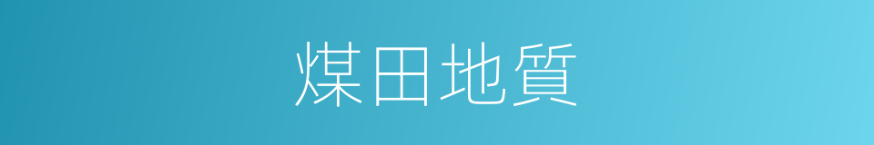 煤田地質的同義詞