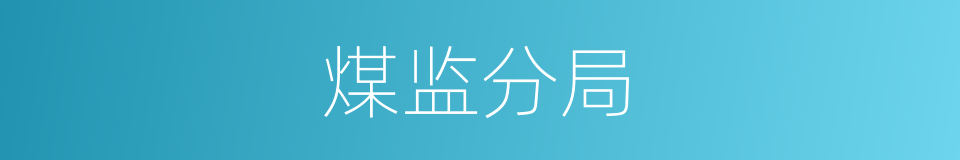 煤监分局的同义词