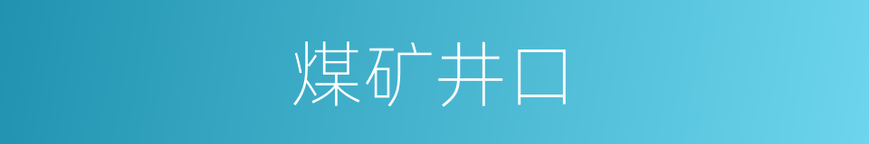 煤矿井口的同义词