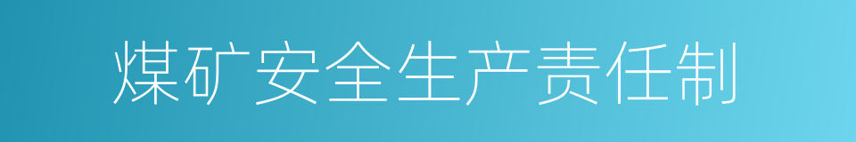 煤矿安全生产责任制的同义词