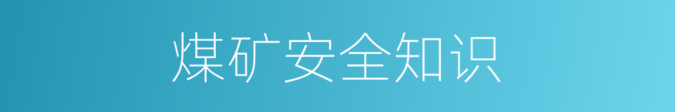 煤矿安全知识的同义词