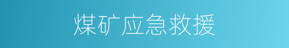 煤矿应急救援的同义词