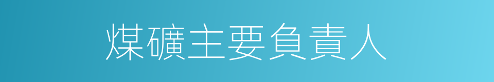 煤礦主要負責人的同義詞