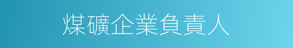 煤礦企業負責人的同義詞