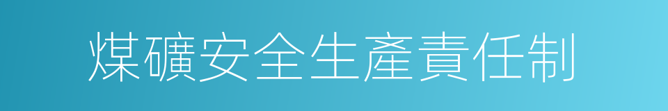 煤礦安全生產責任制的同義詞