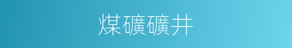 煤礦礦井的同義詞